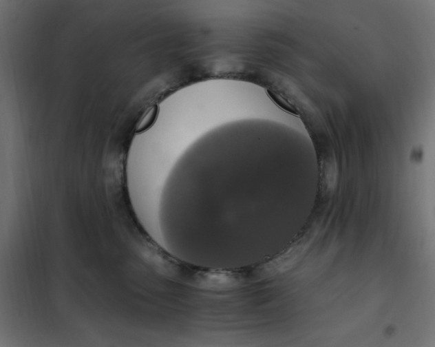 X0000101410475200807281029
