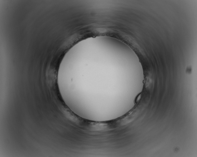 X0000101410476200807281029