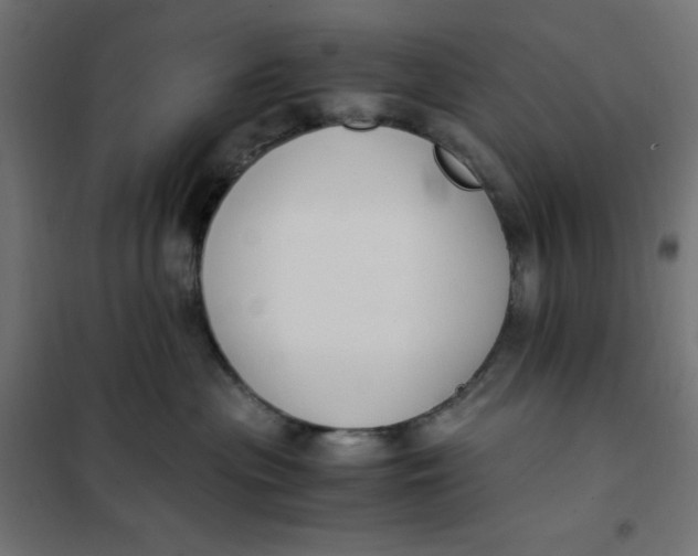 X0000101410477200807281029