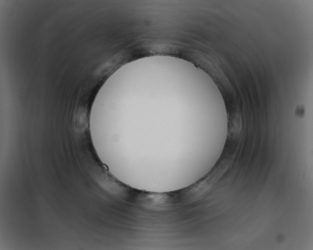 X0000101410478200807281029