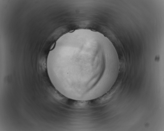 X0000101410479200807281029
