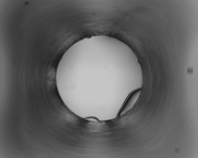 X0000101410480200807281029