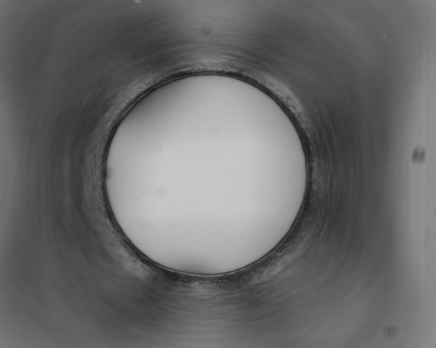 X0000101410481200807281029
