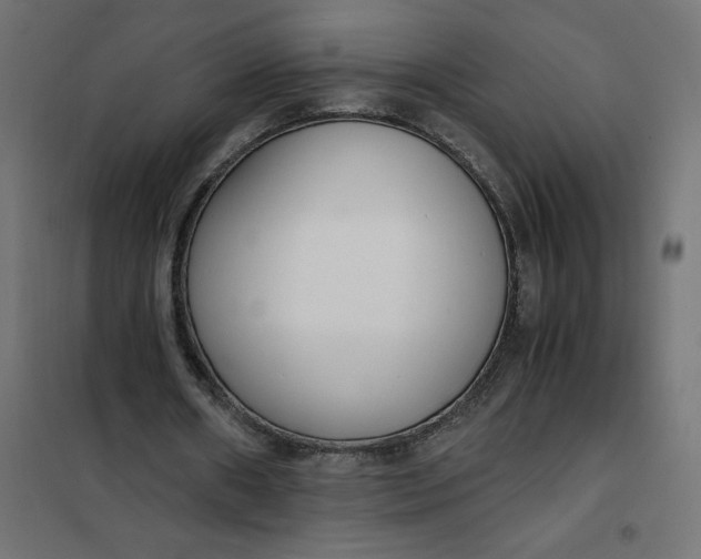 X0000101410482200807281029
