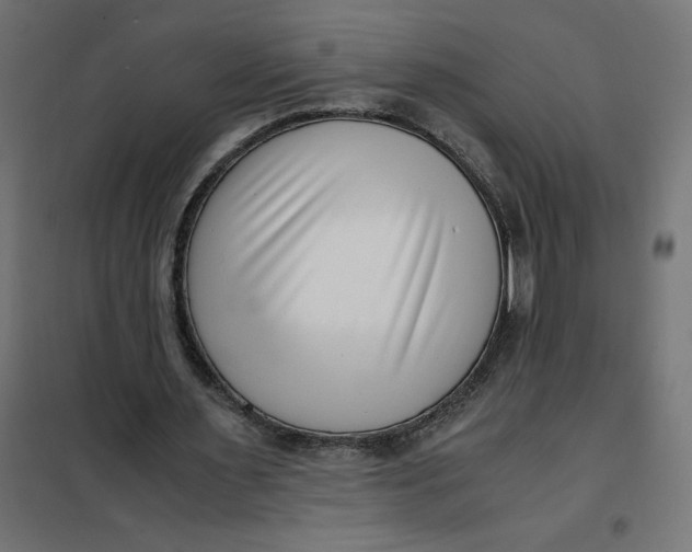 X0000101410483200807281029