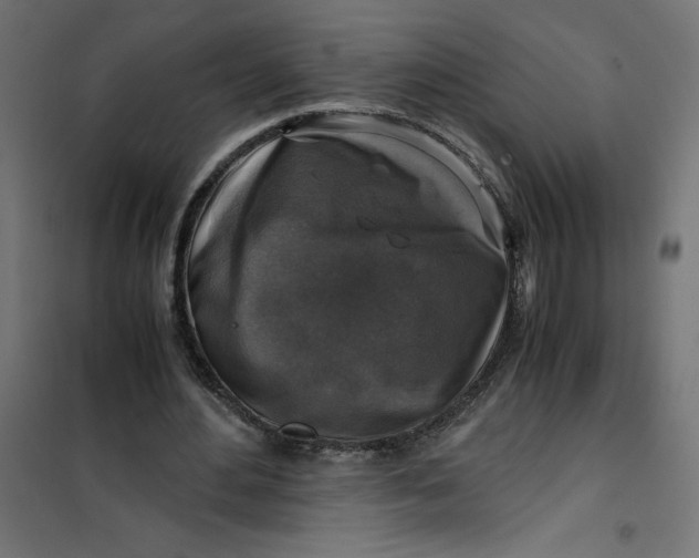 X0000101410484200807281029