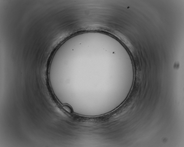 X0000101410485200807281029