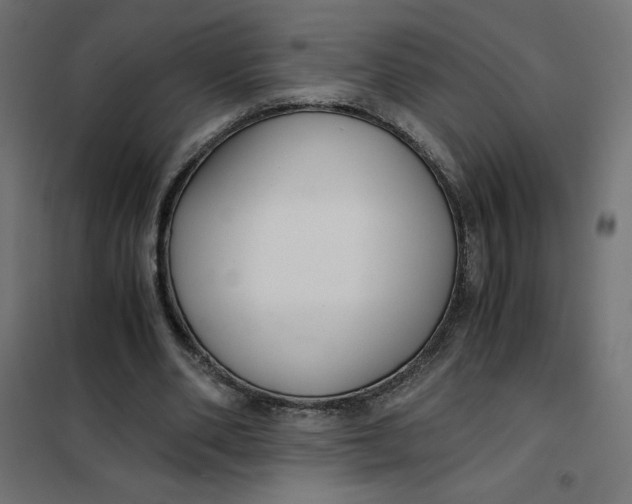 X0000101410486200807281029