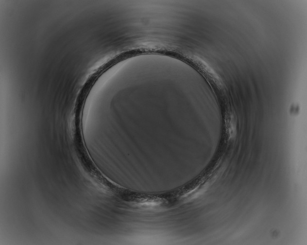X0000101410488200807281029