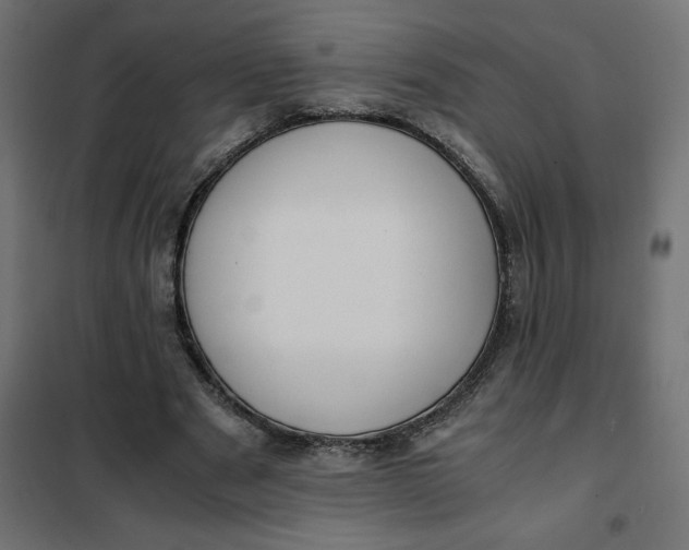 X0000101410489200807281029