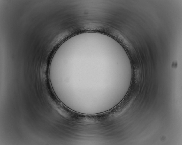 X0000101410490200807281029