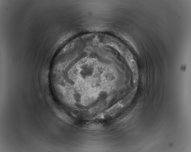 X0000101410491200807281029