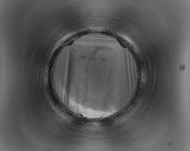 X0000101410492200807281029