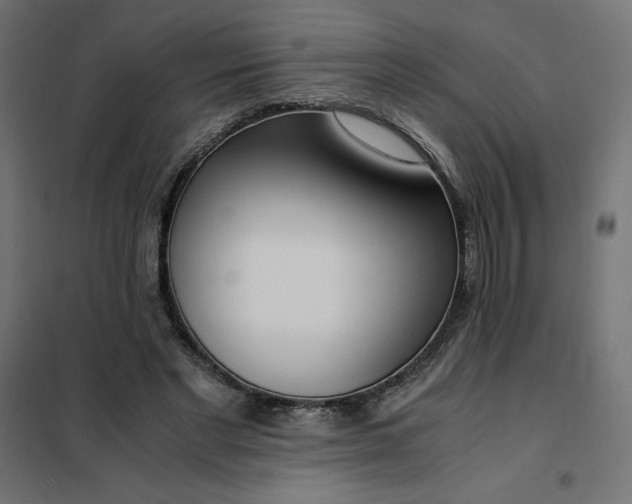 X0000101410493200807281029