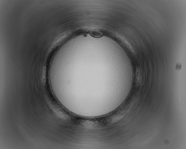 X0000101410494200807281029