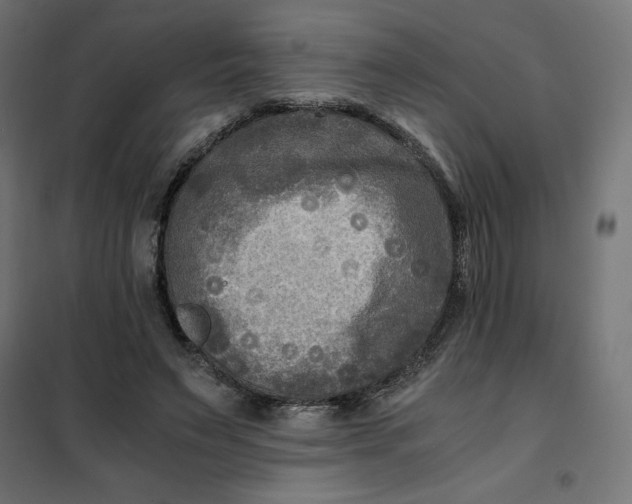 X0000101410495200807281029