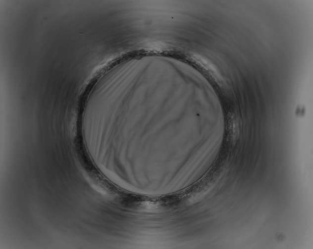 X0000101410496200807281029