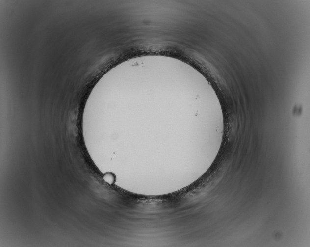 X0000101410497200807281029