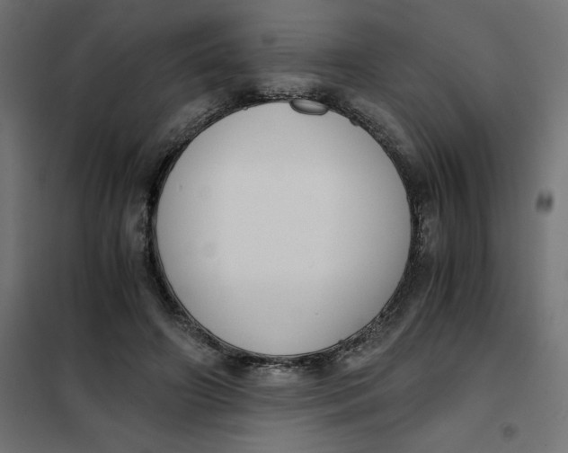 X0000101410498200807281029