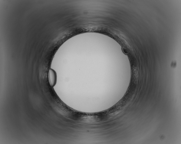 X0000101410499200807281029