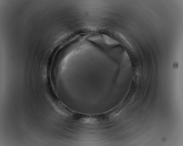 X0000101410500200807281028