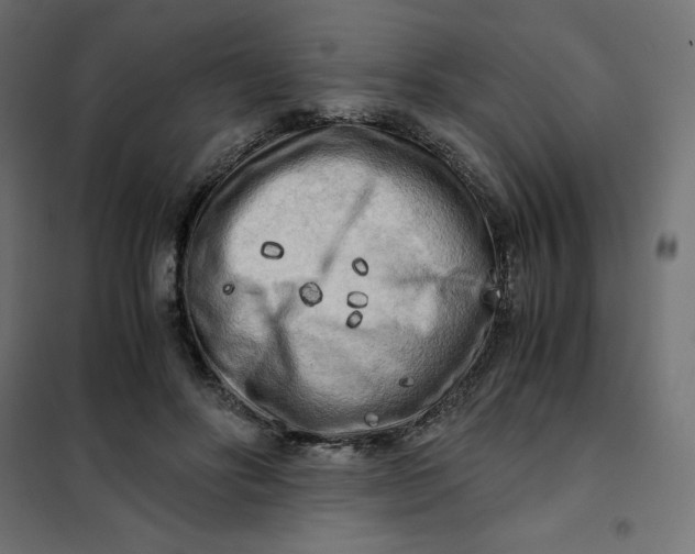 X0000101410502200807281028