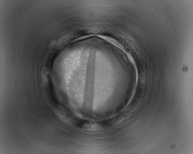 X0000101410503200807281028