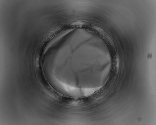 X0000101410504200807281028