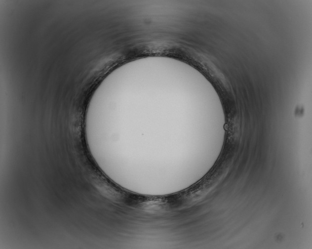 X0000101410505200807281028