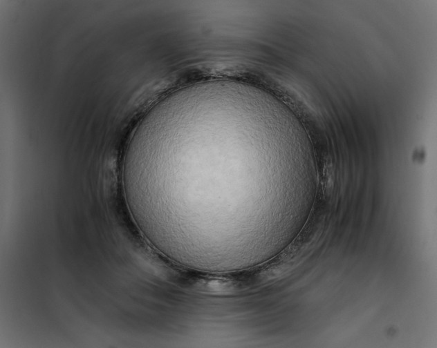 X0000101410506200807281028