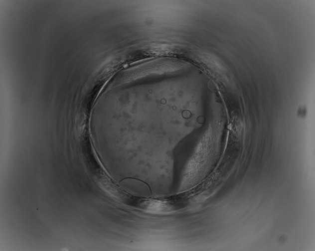 X0000101410507200807281028