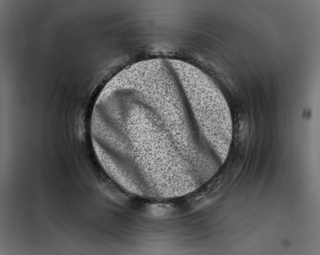 X0000101410508200807281028