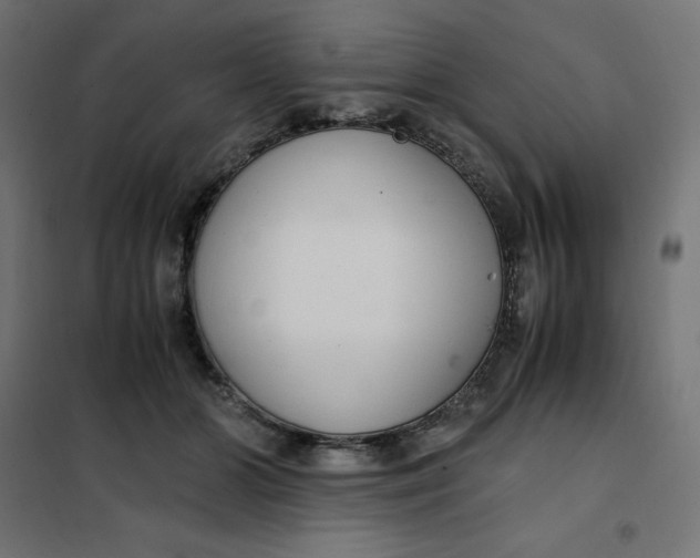 X0000101410510200807281028