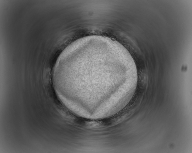 X0000101410511200807281028