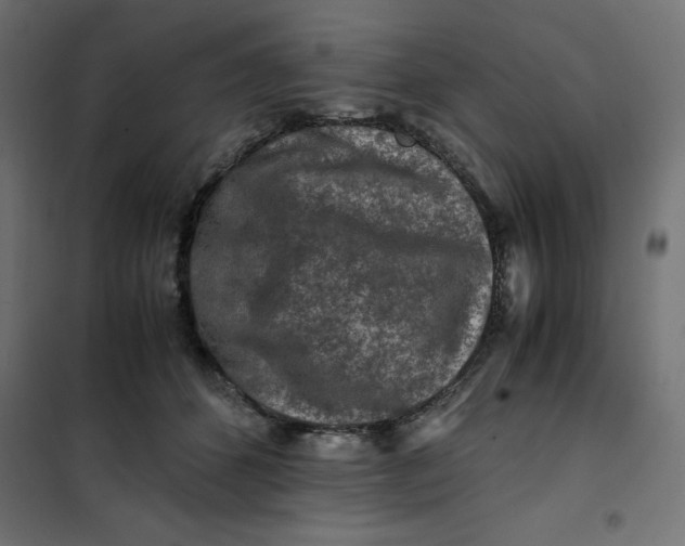 X0000101410512200807281028