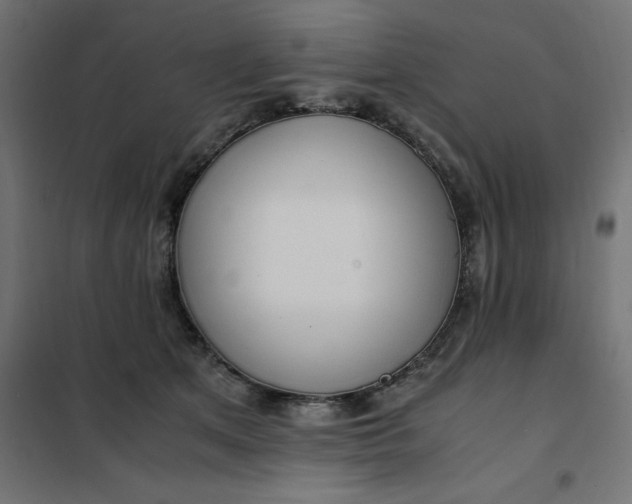 X0000101410513200807281028