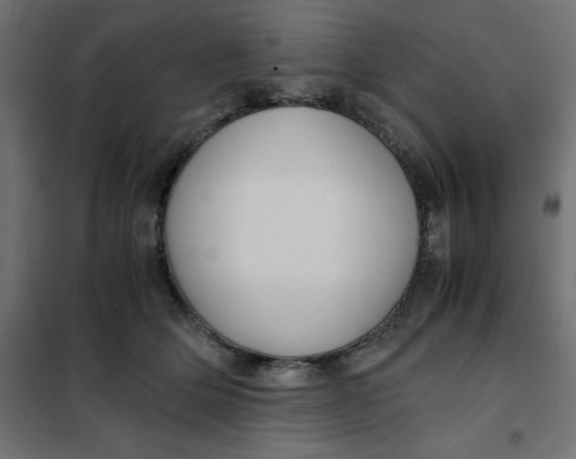 X0000101410514200807281028