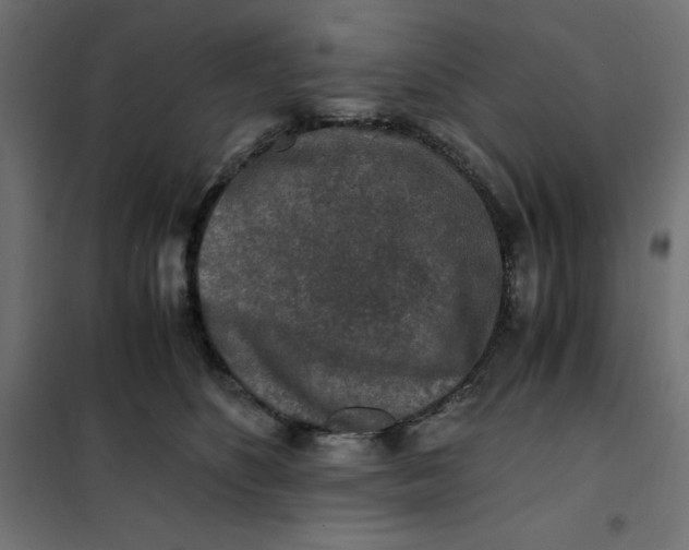 X0000101410516200807281028