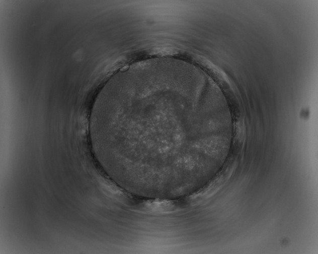 X0000101410517200807281028