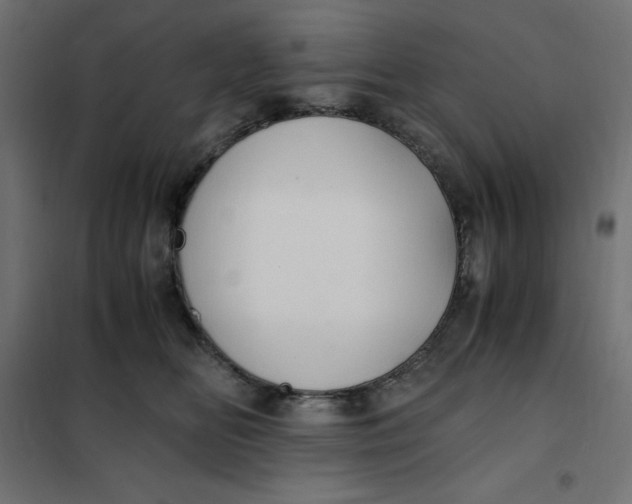 X0000101410518200807281028