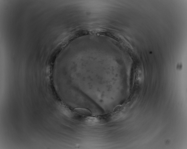 X0000101410519200807281028