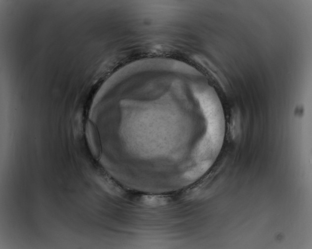 X0000101410520200807281028