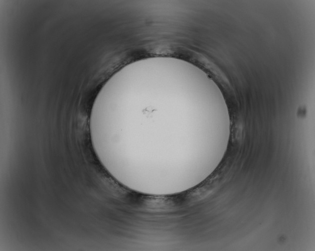 X0000101410521200807281028