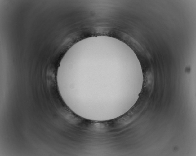 X0000101410522200807281028