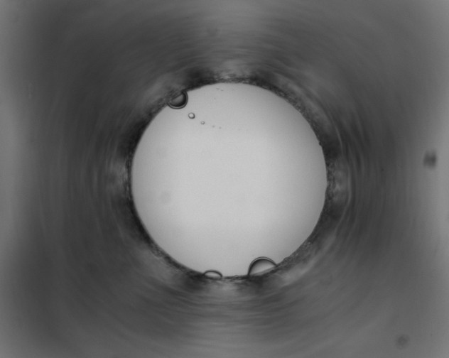 X0000101410523200807281028