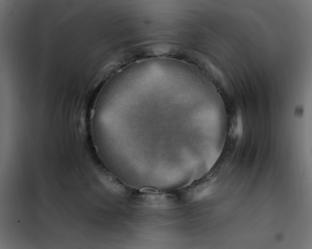 X0000101410524200807281028