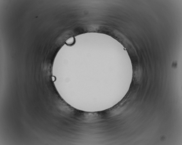 X0000101410525200807281028