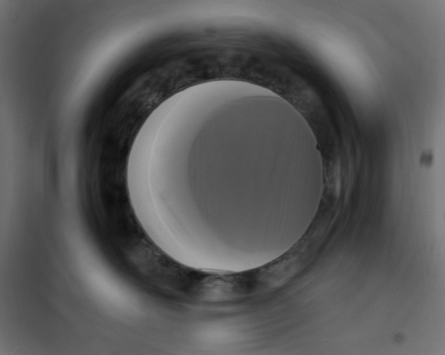 X0000101410526200807281028