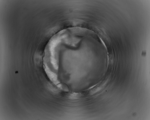 X0000101410527200807281028