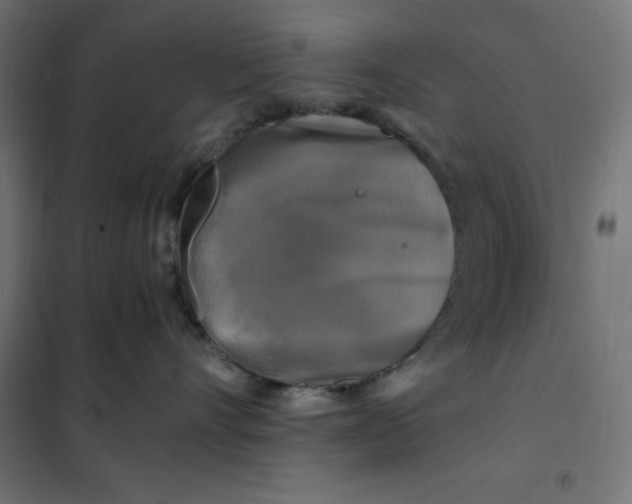X0000101410528200807281028